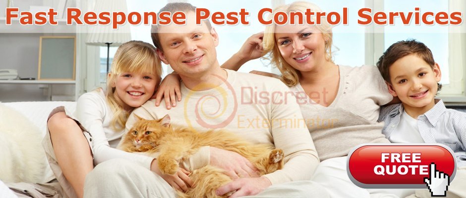 Discreet Pest Control Services